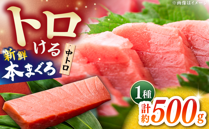 本まぐろ 中トロ 約500g 【株式会社 七和】 / まぐろ 鮪 トロ 中トロ 刺身 さしみ まぐろトロ 本鮪 冷凍 海鮮 魚介 魚 柵 高級 高知県 高知市 養殖 [ATAX028]