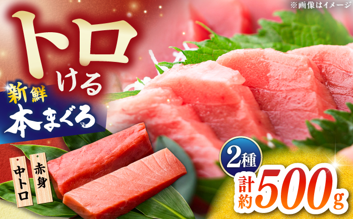 本まぐろ 中トロ 赤身 各約250g 合計約500g 【株式会社 七和】 / まぐろ 鮪 赤身 あかみ トロ 中トロ 刺身 さしみ まぐろトロ まぐろ赤身 高級 セット 本鮪 冷凍 海鮮 魚介 魚 柵 高知県 高知市 養殖 [ATAX029]