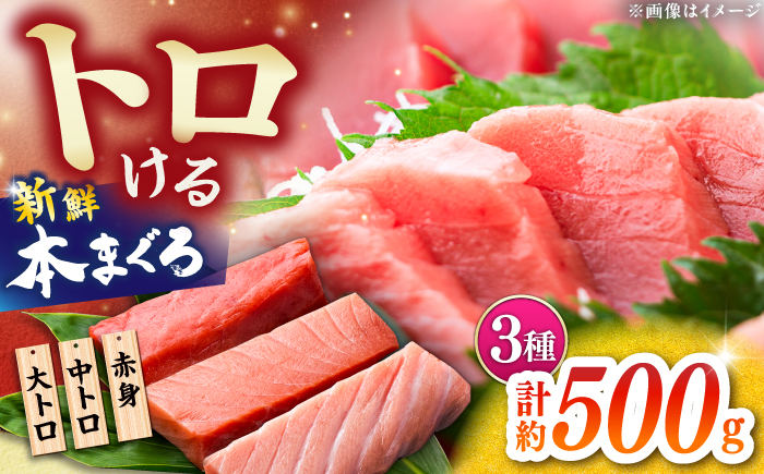 本まぐろ 大トロ 中トロ 赤身 合計約500g 【株式会社 七和】 / まぐろ 鮪 赤身 あかみ トロ 中トロ 大トロ 刺身 さしみ まぐろトロ まぐろ赤身 高級 セット 本鮪 冷凍 海鮮 魚介 魚 柵 高知県 高知市 養殖 [ATAX030]