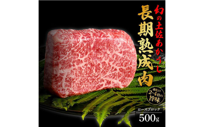 エイジング工法 熟成肉 土佐あかうし 特選ロース ブロック 約500g 冷凍 【株式会社LATERAL】 [ATAY026]