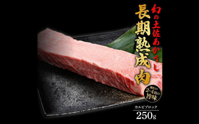 エイジング工法 熟成肉 土佐あかうし 特選カルビ ブロック 約250g (冷凍) 【株式会社LATERAL】 [ATAY049]