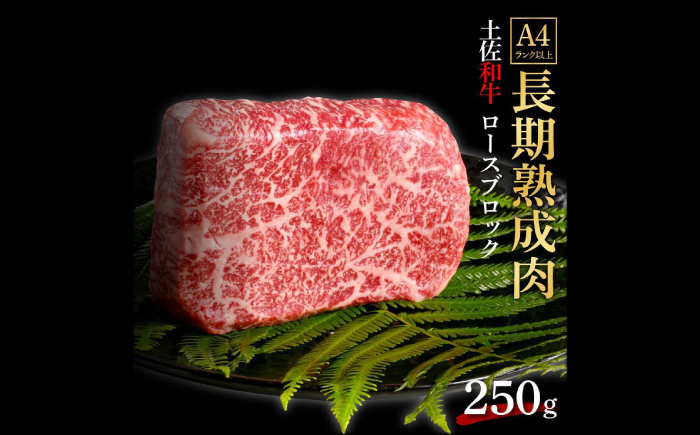 エイジング工法 熟成肉 土佐和牛 特選ロース ブロック 約250g (冷凍) 【株式会社LATERAL】 [ATAY058]