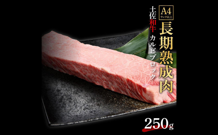 エイジング工法 熟成肉 土佐和牛 特選カルビ ブロック 約250g (冷凍) 【株式会社LATERAL】 [ATAY059]