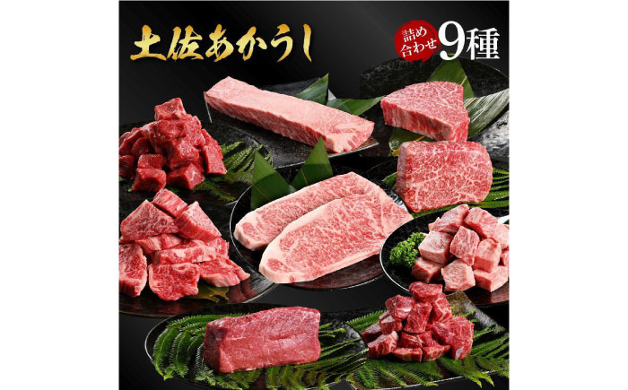 熟成肉 土佐あかうし 詰め合わせ9種 【株式会社LATERAL】 [ATAY078]