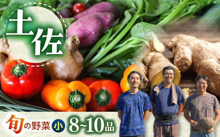 【栽培期間中農薬・化学肥料不使用】土佐の太陽をいっぱいに浴びた旬の野菜セット「小」【土佐野菜】 [ATBA001]