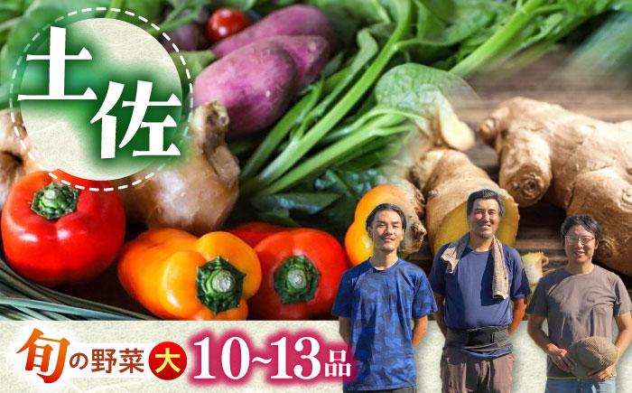 土佐の太陽をいっぱいに浴びた旬の野菜セット「大」【土佐野菜】 [ATBA002]
