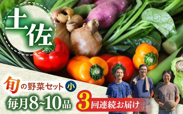 【3回定期便】 土佐の太陽をいっぱいに浴びた旬の野菜セット小 【土佐野菜】 [ATBA005]