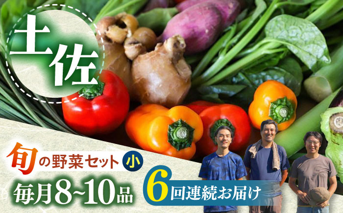 【6回定期便】 土佐の太陽をいっぱいに浴びた旬の野菜セット小 【土佐野菜】 [ATBA006]
