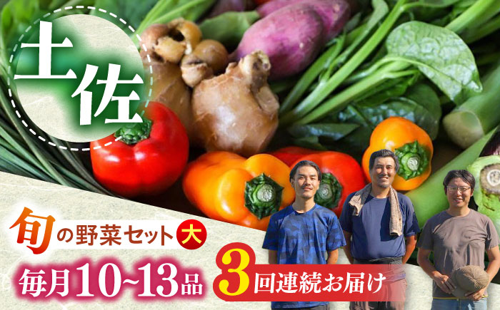 【全3回定期便】 土佐の太陽をいっぱいに浴びた旬の野菜セット「大」 (3回配送)【土佐野菜】[ATBA008]