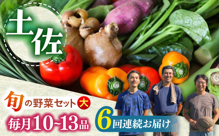 【全6回定期便】土佐の太陽をいっぱいに浴びた旬の野菜セット「大」 (6回配送)【土佐野菜】 [ATBA009]