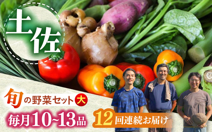 【全12回定期便】土佐の太陽をいっぱいに浴びた旬の野菜セット「大」 (12回配送)【土佐野菜】 [ATBA010]