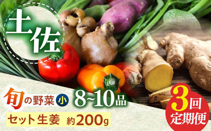 【3回定期便】 土佐の太陽をいっぱいに浴びた旬の野菜生姜約200gのセット「小」 【土佐野菜】 [ATBA011]