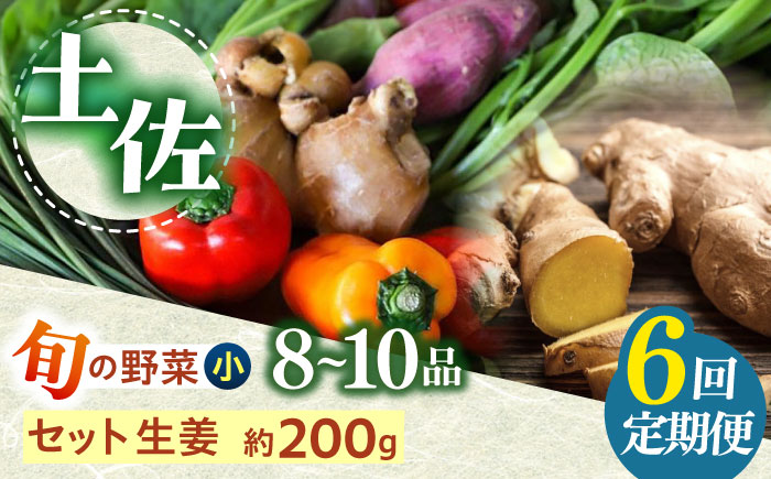 【6回定期便】 土佐の太陽をいっぱいに浴びた旬の野菜生姜約200gのセット「小」 【土佐野菜】 [ATBA012]