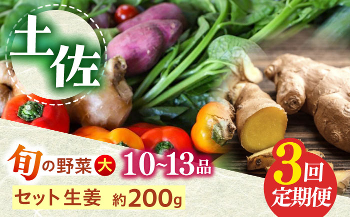 【全3回定期便】土佐の太陽をいっぱいに浴びた旬の野菜と生姜約200gのセット「大」 (3回配送)【土佐野菜】 [ATBA014]