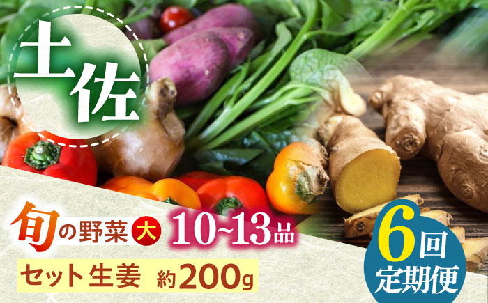 【全6回定期便】 土佐の太陽をいっぱいに浴びた旬の野菜と生姜約200gのセット「大」 (6回配送)【土佐野菜】 [ATBA015]