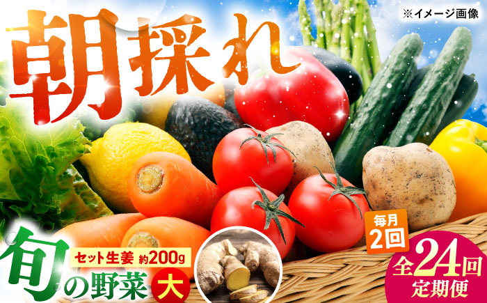 【24回定期便・月2回配送】 土佐の太陽をいっぱいに浴びた旬の野菜10～13品目と生姜約200gのセット / 高知 土佐 旬 野菜 生姜 詰め合わせ セット 仕送り 【土佐野菜】 [ATBA017]