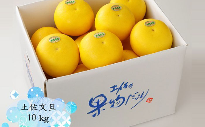 【先行予約】 よりすぐりの土佐文旦 約10kg（2Lサイズ 20玉程度）〈2027年2月初旬～2027年4月中旬頃発送〉 / 文旦 土佐文旦 10kg 2L 20玉 大玉 柑橘 果物 フルーツ デザート 季節限定 期間限定 【L＋武田青果】 [ATIT009]