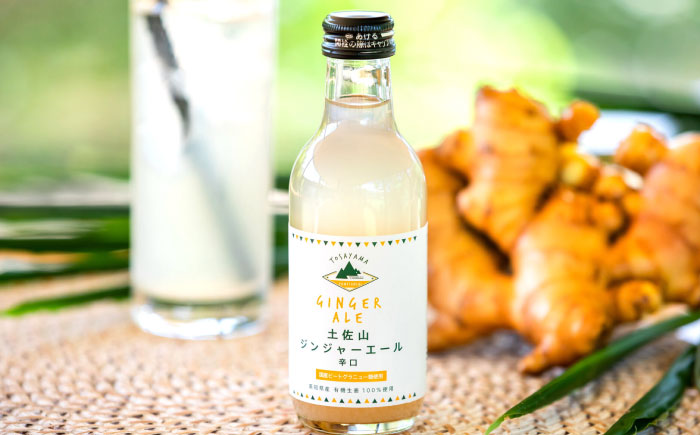 土佐山ジンジャエール辛口Mセット（200ml×4本）【一般財団法人夢産地とさやま開発公社】 [ATBH012]