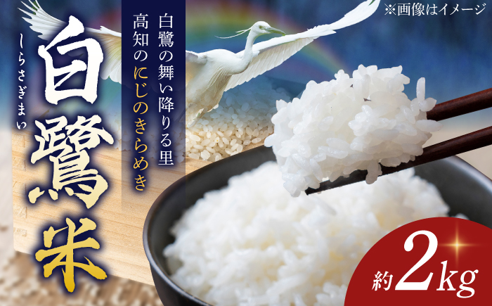 農薬節減！ R7年度産 特別栽培米 白鷺米 にじのきらめき 約2kg ＜2025年9月中旬～発送＞ / 高知 米 お米 精米　【津ノ宮農園】[ATBV003]