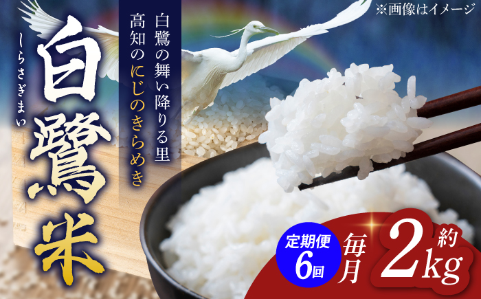 【6回定期便】 新米 R7年度産 特別栽培米 農薬節減！ 白鷺米 にじのきらめき 各約2kg 合計約12kg / 高知 米 お米 精米 　【津ノ宮農園】[ATBV005]