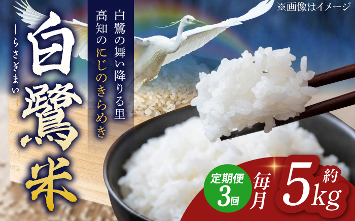 【3回定期便】 新米 R7年度産 特別栽培米 農薬節減！ 白鷺米 にじのきらめき 各約5kg 合計約15kg / 高知 米 お米 精米 　【津ノ宮農園】[ATBV006]