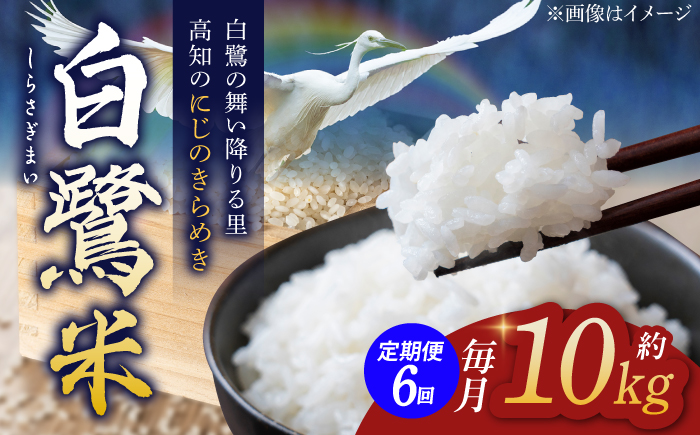 【6回定期便】 新米 R7年度産 特別栽培米 農薬節減！ 白鷺米 にじのきらめき 各約10kg 合計約60kg / 高知 米 お米 精米 　【津ノ宮農園】[ATBV009]