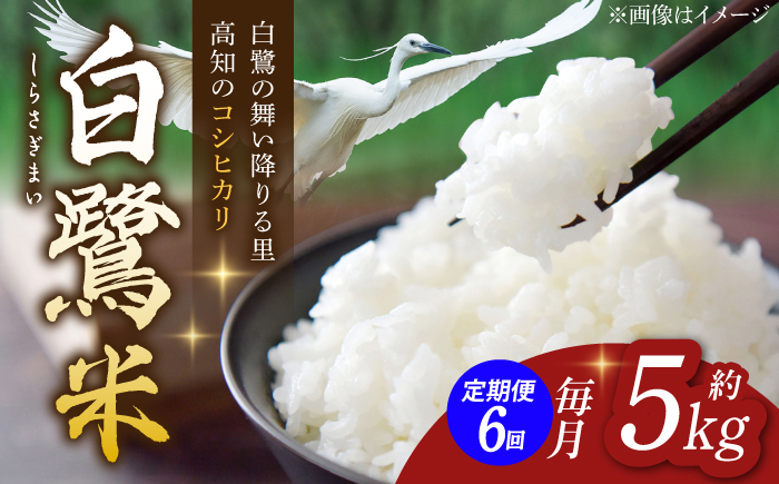 【6回定期便】 新米 R7年度産 特別栽培米 農薬節減！ 白鷺米 コシヒカリ 各約5kg 合計約30kg / 高知 米 お米 精米 　【津ノ宮農園】[ATBV013]