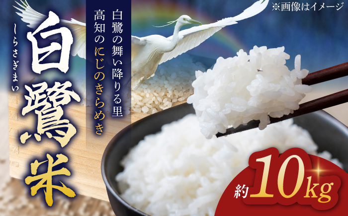 農薬節減！ R7年度産 特別栽培米 白鷺米 にじのきらめき 約10kg ＜2025年9月中旬～発送＞ / 高知 米 お米 精米 　【津ノ宮農園】[ATBV016]
