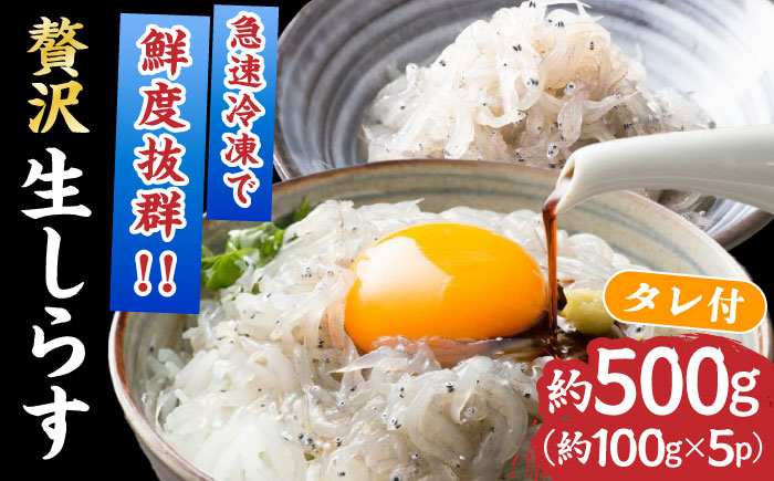 高知産「生シラス」イワシ稚魚約100g×5パック入り (タレ付)【興洋フリーズ株式会社】 [ATBX003]