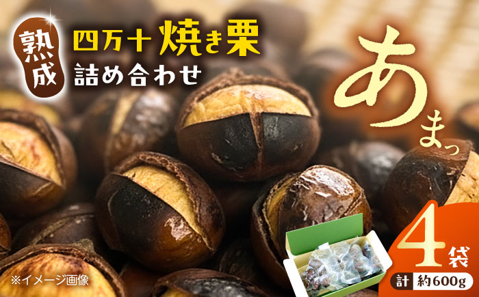 熟成四万十栗焼き栗の詰め合わせ (約150g×4袋入り) 〈2025年11月5日～2026年4月30日発送〉 / 栗 くり クリ 焼き栗 熟成 秋の味覚 秋 詰め合わせ 高知 四万十 【株式会社いちじゃもの】 [ATCB003]