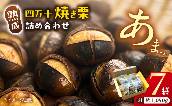 熟成四万十栗焼き栗の詰め合わせ (約150g×7袋入り) 〈2025年11月5日～2026年4月30日発送〉/ 栗 くり クリ 焼き栗 熟成 秋の味覚 秋 詰め合わせ 高知 四万十 【株式会社いちじゃもの】 [ATCB004]