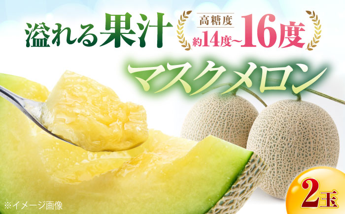 【先行予約】 高知市 春野町産 マスクメロン 2玉 (約2.8kg～約3.4kg 箱重量込み) 〈2026年9月10日～2026年9月15日発送〉 【片山農園】 [ATCI002]