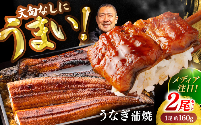高知県産 うなぎ 長蒲焼2尾 約160g×2 (2～4人前)/ 鰻 ウナギ 土用丑の日 高知産 うなぎ 【土佐黒潮水産】 [ATCQ009]
