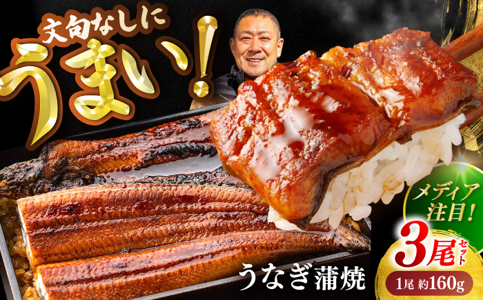 高知県産 うなぎ 長蒲焼3尾 約160g×3 (3～6人前)/ 鰻 ウナギ 土用丑の日 高知産 うなぎ 【土佐黒潮水産】 [ATCQ010]