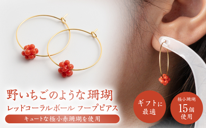 珊瑚のフープピアスボール 【有限会社米沢サンゴ店】 [ATCX025]