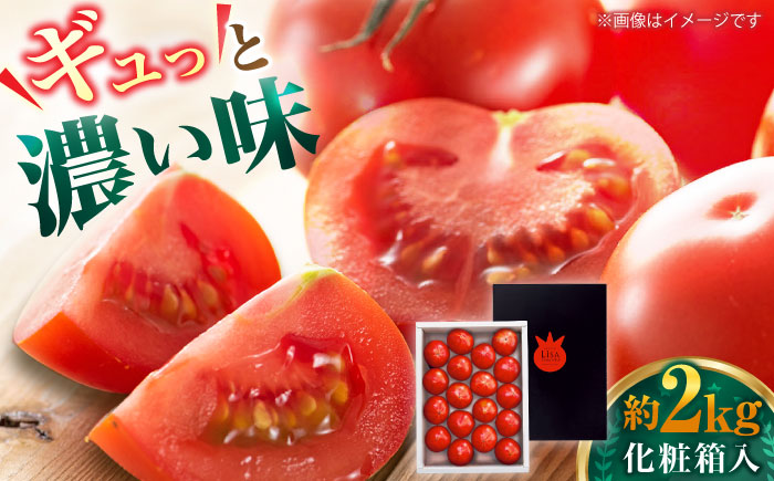 リサフルーツトマト 約2kg / トマト とまと 野菜 【株式会社 堀】[ATDA003]
