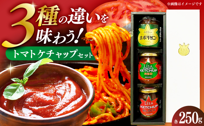 ケチャップセット3種 〈リサトマトケチャップ・リサケチャップブラック・大人のナポリタン〉各250g / ケチャップ セット リサトマト トマト ナポリタン 調味料 とまと 高知【株式会社　堀】 [ATDA009]