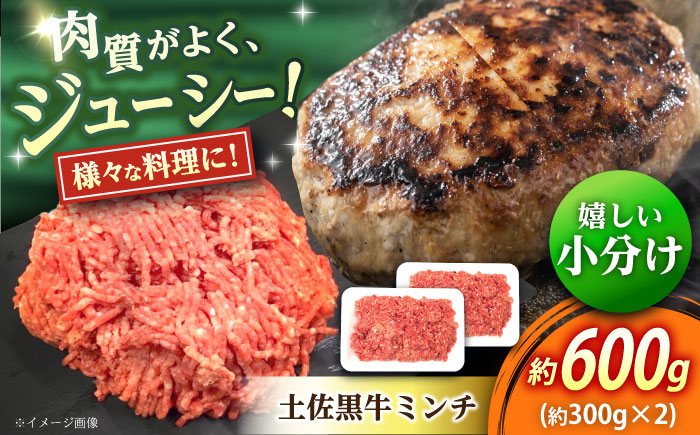高知 土佐黒牛ミンチ 約600g（約300g×2パック） / 高知県 土佐 和牛 お肉 牛肉 牛 ミンチ 贈答 ギフト 贅沢  【焼肉寛十郎】 [ATDO006]