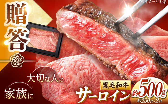 高知 黒毛和牛 ステーキ 約500g(約250g×2枚) / 高知 お肉 牛肉 牛 サーロイン 贈答 ギフト 贅沢 【焼肉寛十郎】 [ATDO011]