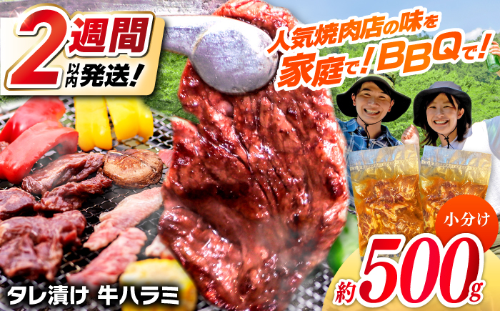 タレ漬け 牛ハラミ 約250g×2パック 計約500g 【焼肉寛十郎】 小分け 個包装 味付け タレ たれ 高知県 お肉 牛肉 贅沢 焼き肉 BBQ バーベキュー 訳あり わけあり ワケアリ はらみ [ATDO013]