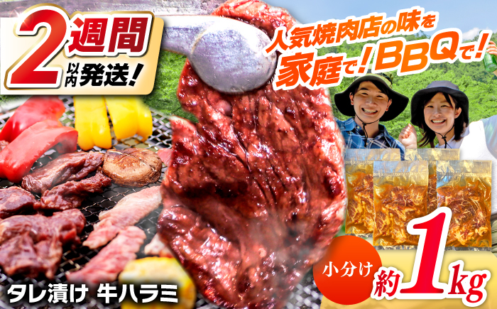 タレ漬け 牛ハラミ 約250g×4パック 計約1kg【焼肉寛十郎】小分け 個包装 味付け タレ たれ 高知県 お肉 牛肉 贅沢 焼き肉 BBQ バーベキュー 訳あり わけあり ワケアリ はらみ [ATDO014]