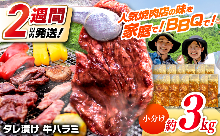 タレ漬け 牛ハラミ 約250g×12パック 計約3kg【焼肉寛十郎】小分け 個包装 味付け タレ たれ 高知県 お肉 牛肉 贅沢 焼き肉 BBQ バーベキュー 訳あり わけあり ワケアリ はらみ [ATDO016]