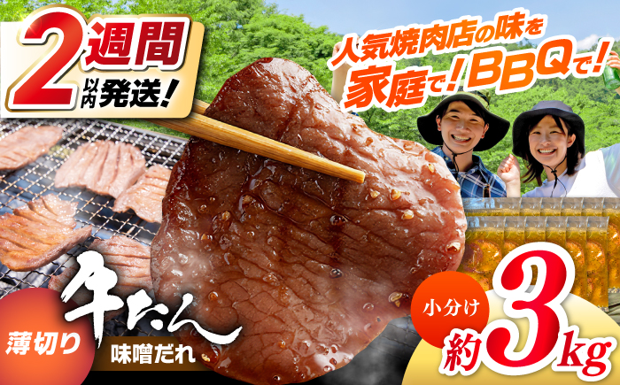 薄切り 牛タン 味噌だれ 約250g×12パック 計約3kg 小分け 個包装 味付け タレ たれ 高知県 お肉 牛肉 贅沢 焼き肉 BBQ バーベキュー 訳あり わけあり 【焼肉寛十郎】 [ATDO031]