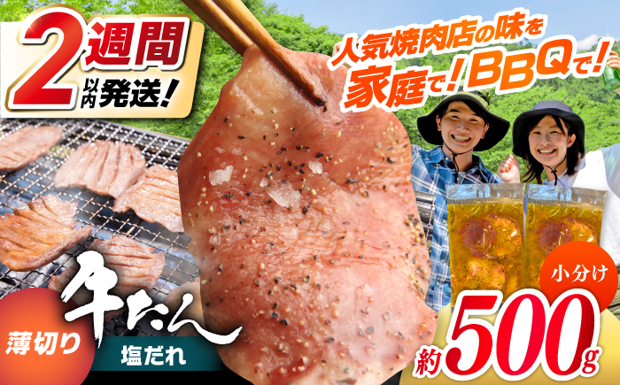 薄切り 牛タン 塩だれ  約250g×2パック 計約500g 小分け 個包装 味付け タレ たれ 高知県 お肉 牛肉 贅沢 焼き肉 BBQ バーベキュー 訳あり わけあり ワケアリ 牛たん 【焼肉寛十郎】 [ATDO032]