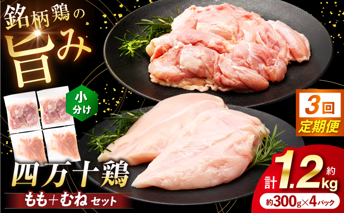 【3回定期便】四万十鶏 おいしいとこ鶏 セット (もも肉 むね肉  計約1.2kg)/ 四万十鶏 もも肉 むね肉 冷凍【三栄ブロイラー販売株式会社】 [ATDP010]