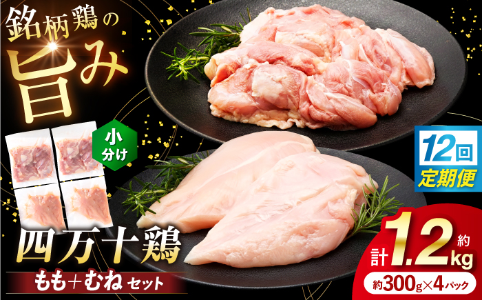 【12回定期便】四万十鶏 おいしいとこ鶏 セット (もも肉 むね肉  計約1.2kg)/ 四万十鶏 もも肉 むね肉 冷凍【三栄ブロイラー販売株式会社】 [ATDP012]