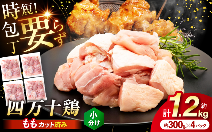 四万十鶏もも肉 切身 約1.2kg （約300g×4パック） カットでかんたん 時短セット / 四万十鶏 もも肉 小分け 冷凍 カット 時短 【三栄ブロイラー販売株式会社】 [ATDP016]