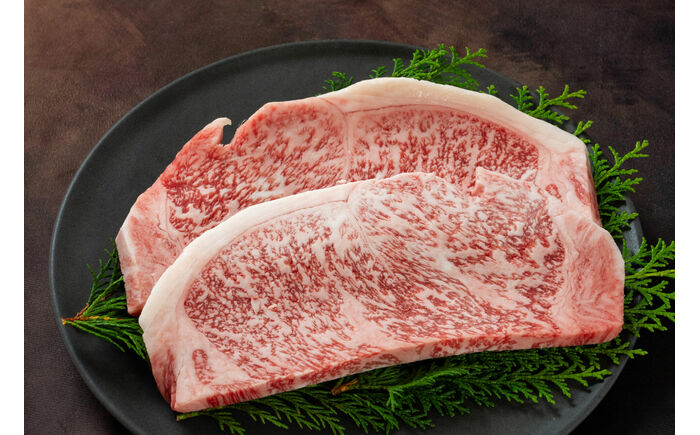 土佐黒牛 サーロイン ステーキ 約400g（約200g×2）/ 贈答用 黒牛 土佐 和牛 牛 肉 お肉 ウデ モモ バラ 食品 冷凍 高知 【高知県食肉センター株式会社】 [ATFC039]