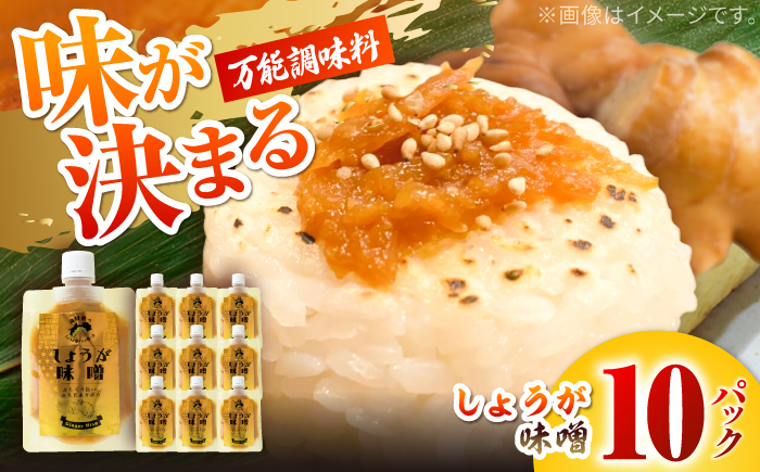 しょうが味噌　約100g×10パック【Japan Ginger 株式会社】 しょうが 国産 高知 調味料 味噌汁 みそ汁 小分け パウチ [ATFD003]