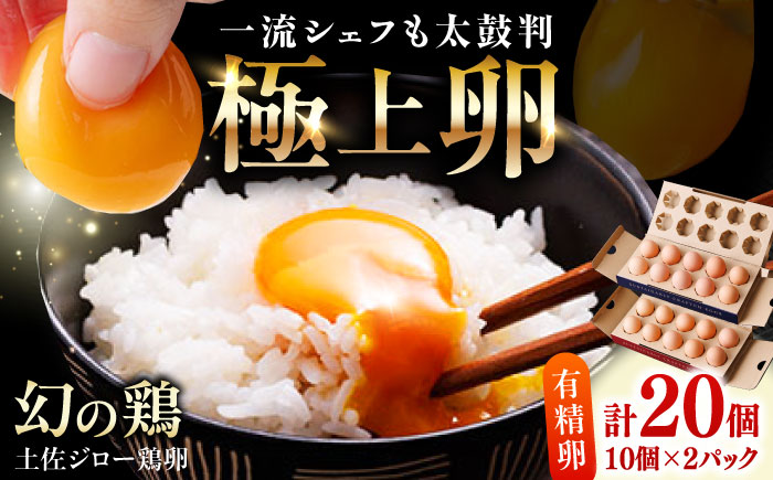 土佐ジロー鶏卵 20個 （10個×2パック）/ 高知 土佐 土佐ジロー 卵 たまご 玉子 鶏卵 卵焼き たまご焼き 玉子焼き 目玉焼き 生卵 卵かけご飯 TKG ギフト 贈り物 【とさやま養鶏場】 [ATHB001]